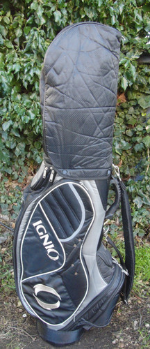 Division ignio golf cart - 7,